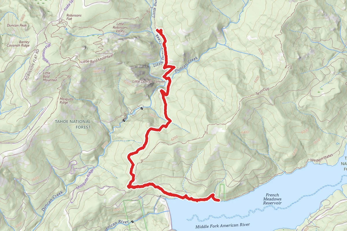 Western States