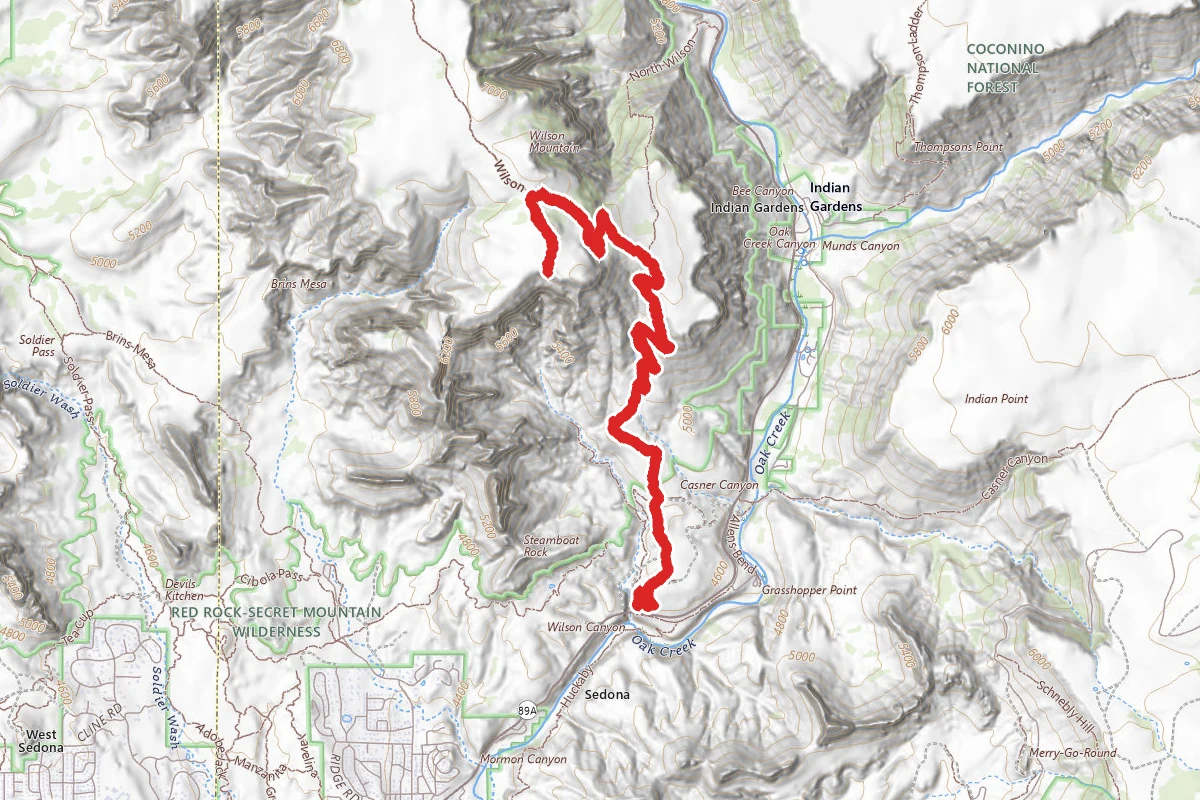 Wilson Mountain Peak Trail