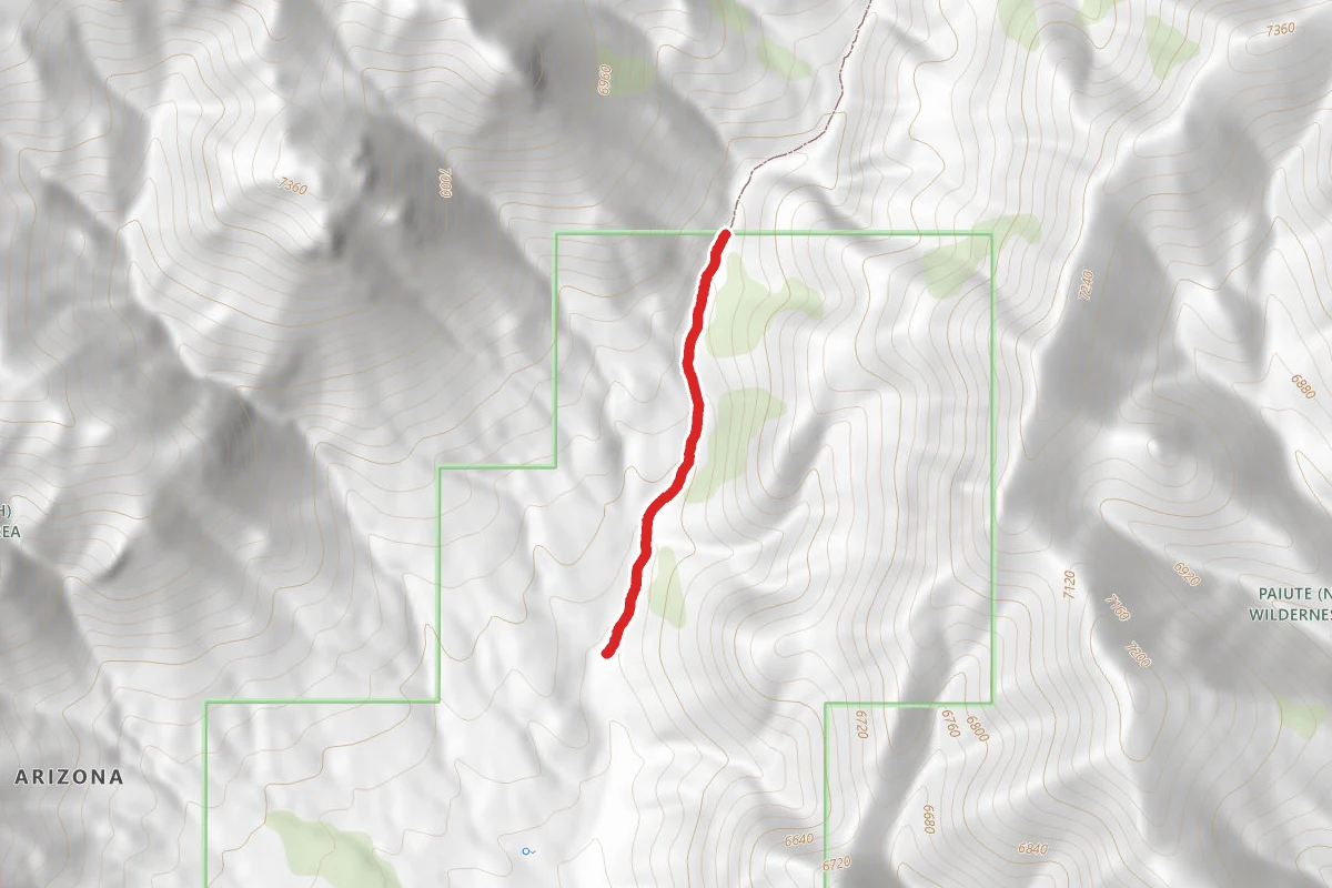 Paiute Trails