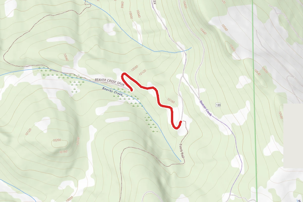 Tim's Trail