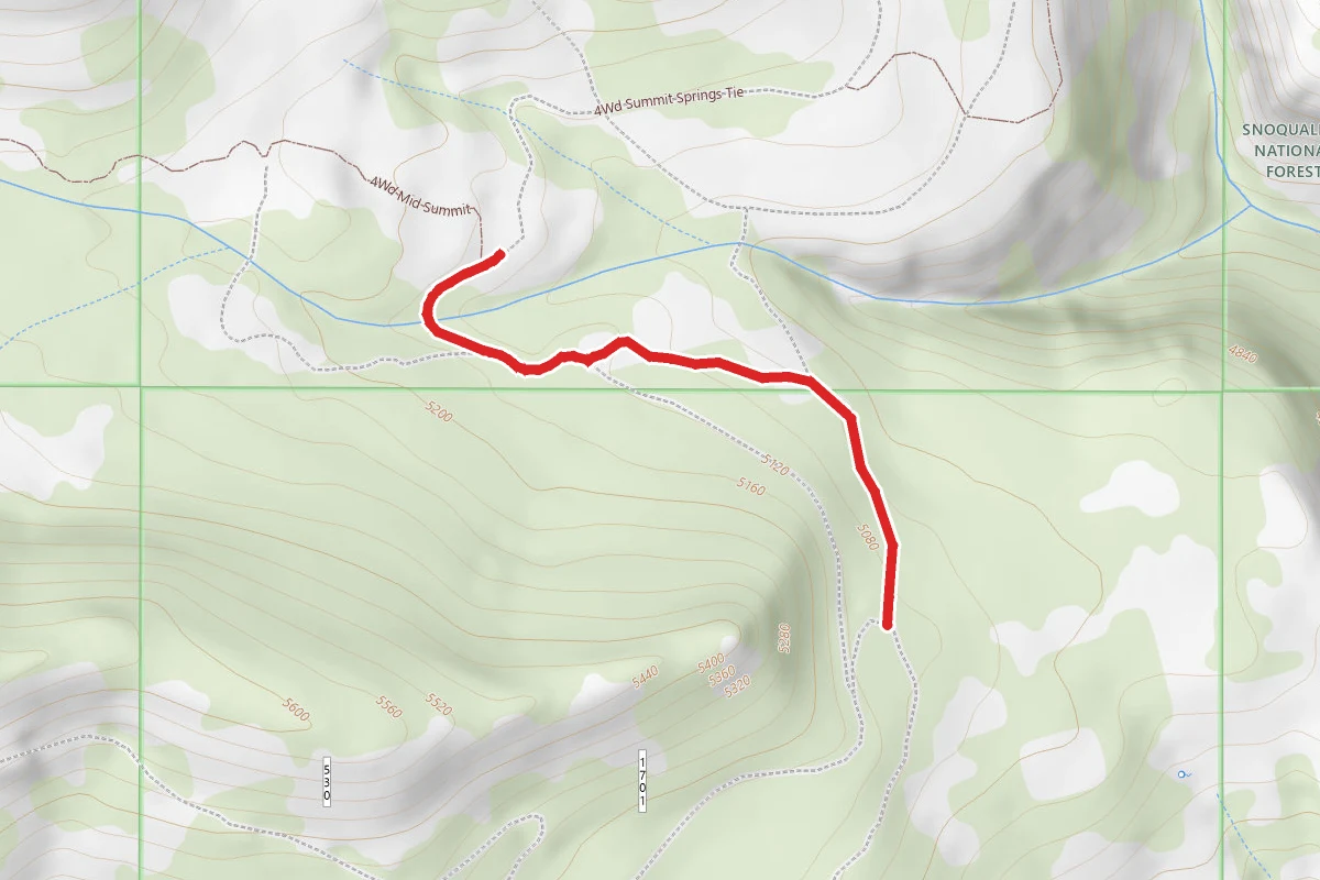 Summit Springs Tie