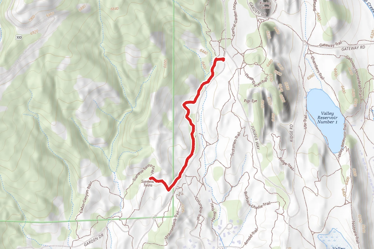 Palmer Trail to Siamese Twins