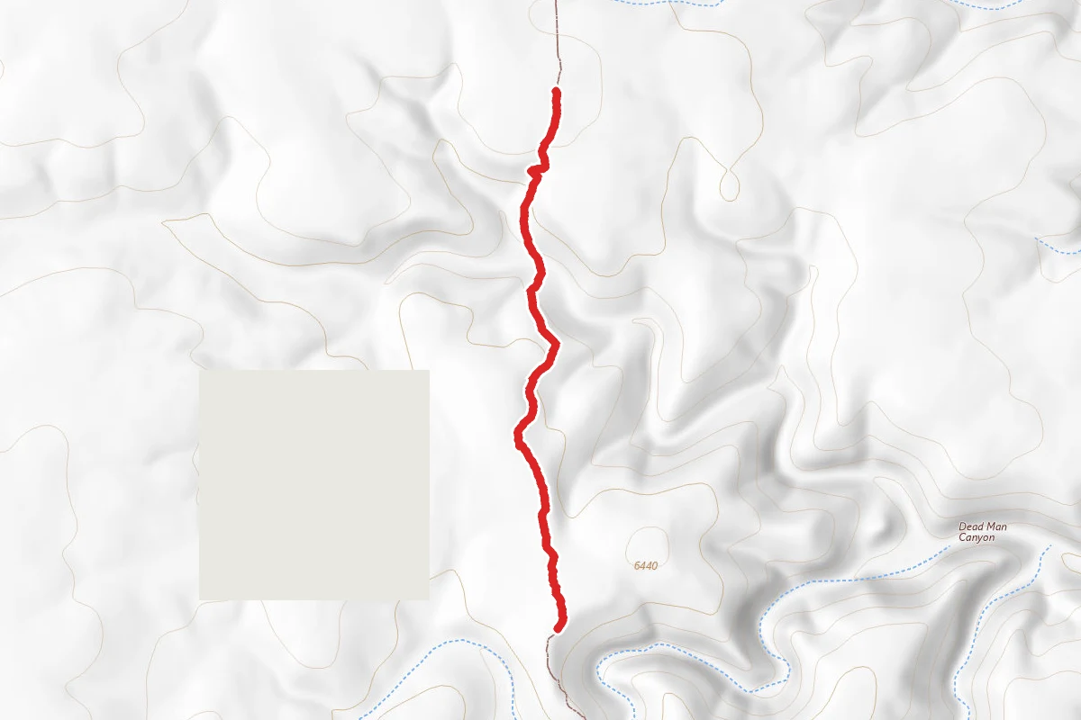 Arizona Trail
