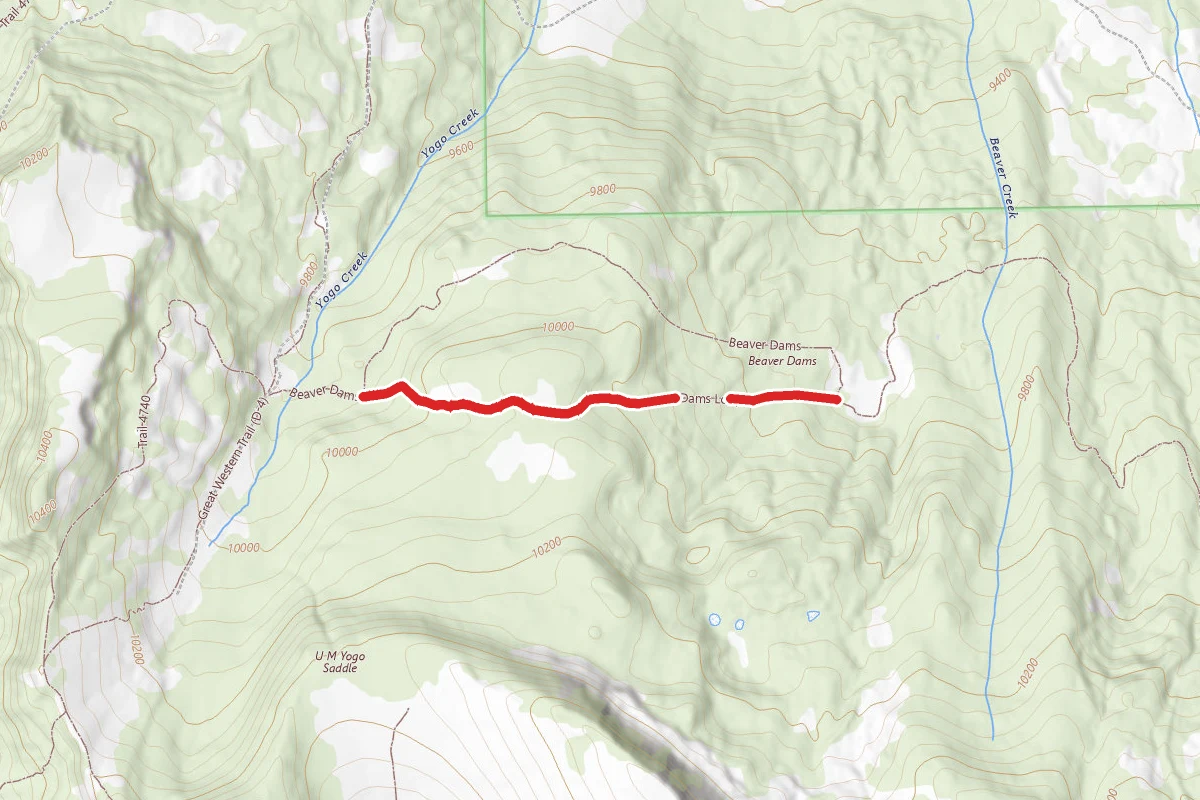 Beaver Dams Loop