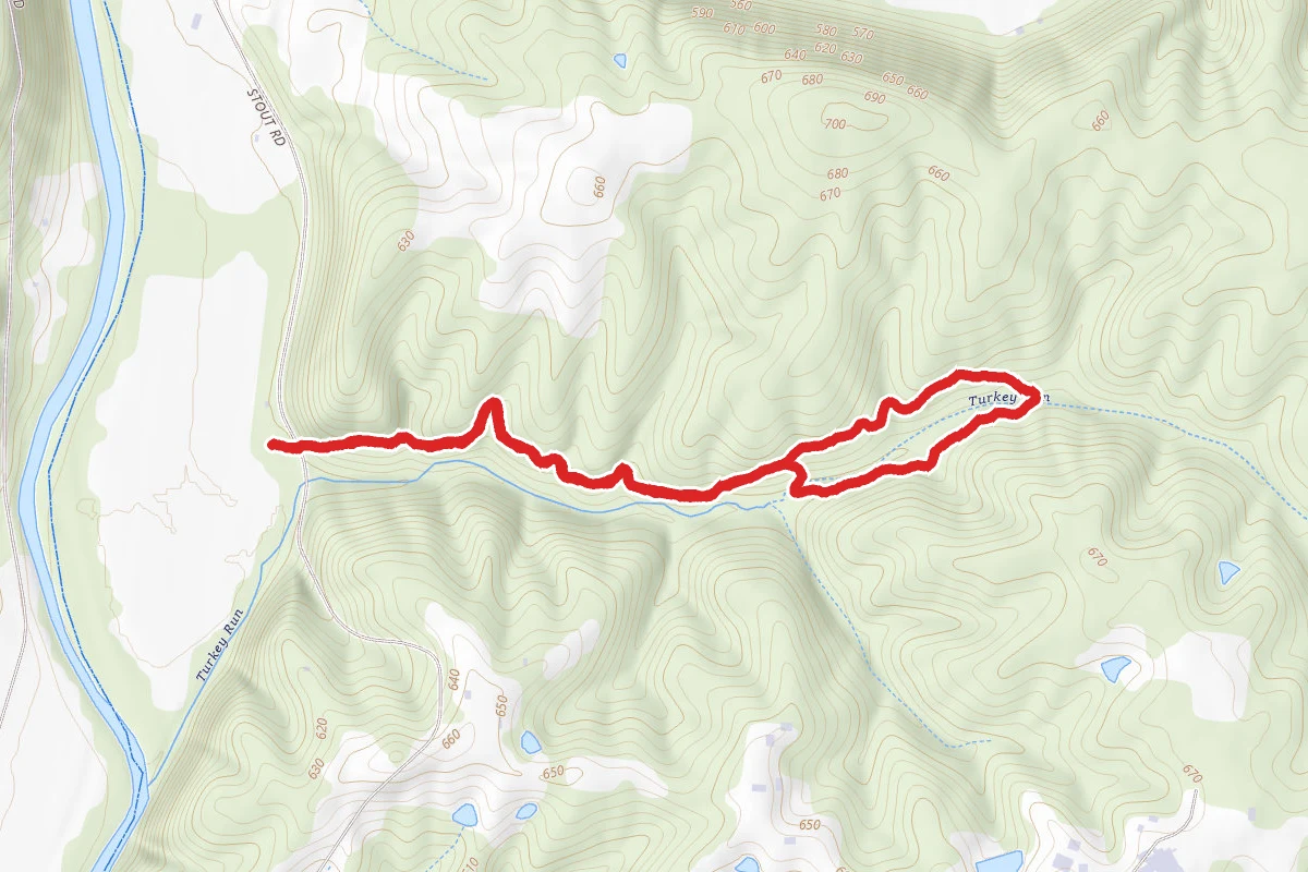 Wild Hyacinth Trail
