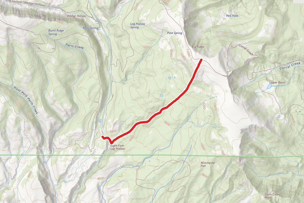 Rt. Fork Log Hollow