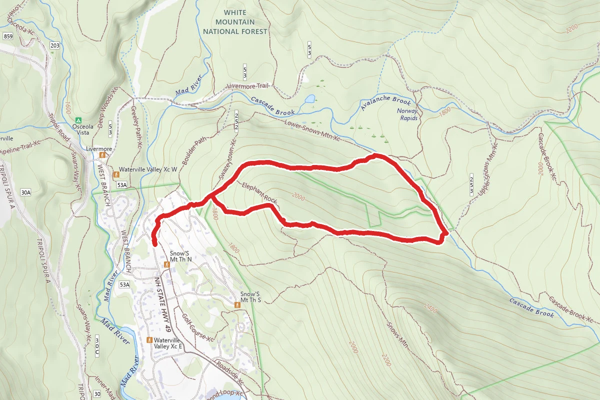 Cascade Path, Upper Snows Mountain and Beanbender Loop