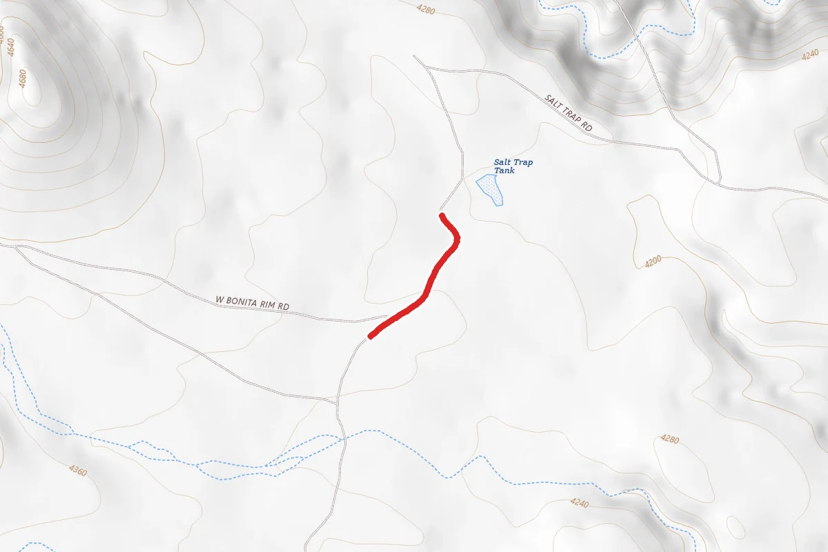 Salt Trap Road