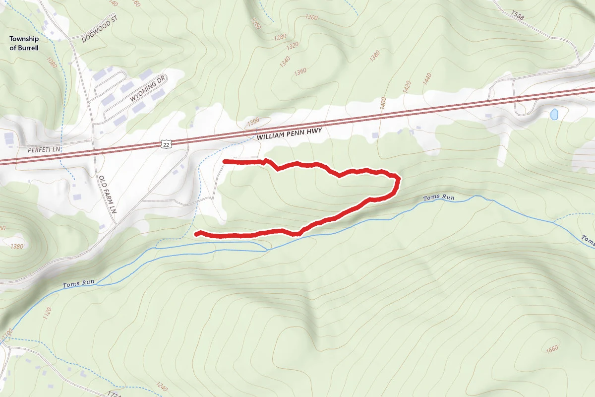 Toms Run Trail