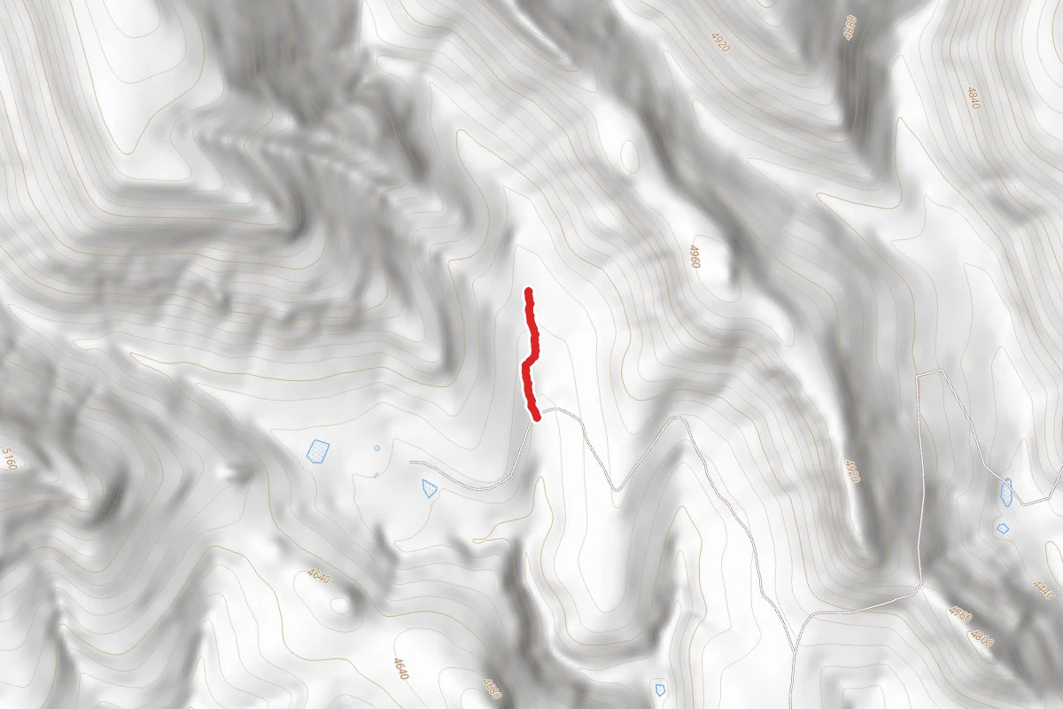 Bull Gap Road