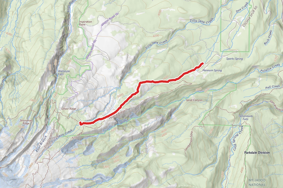 Tilly Jane Trail