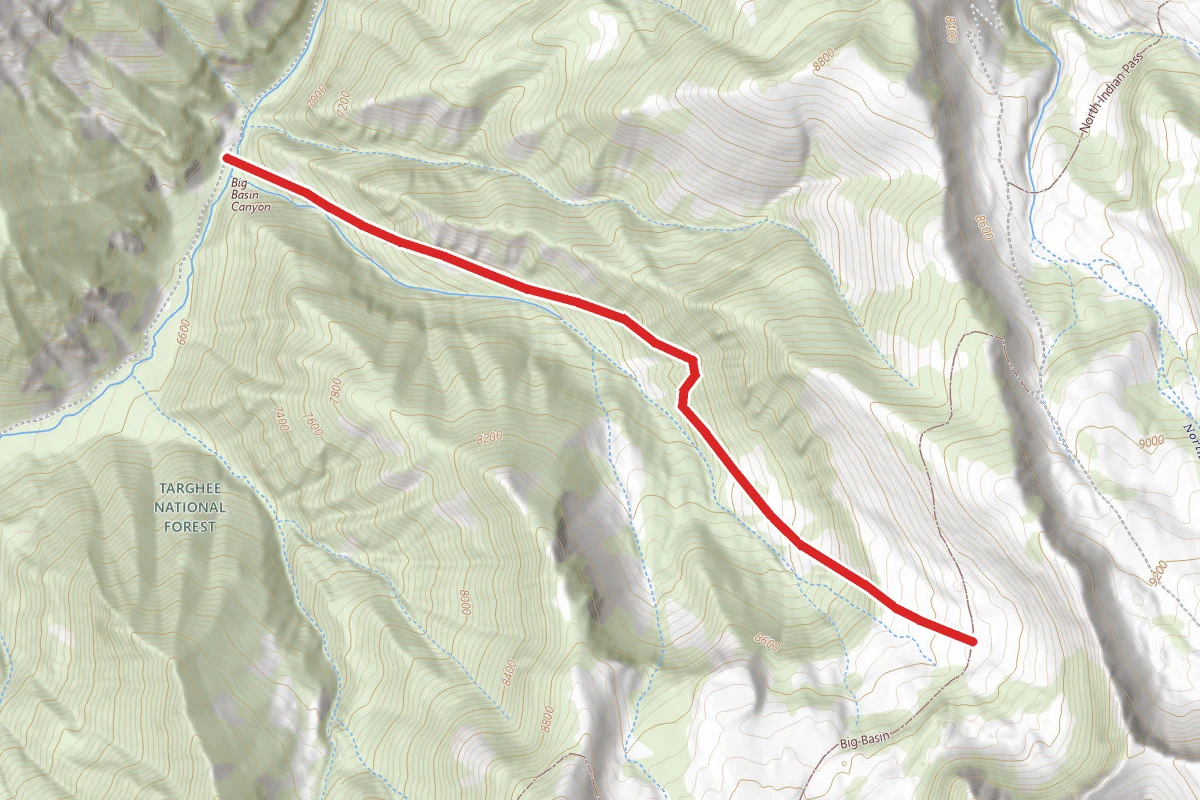 Big Basin Canyon