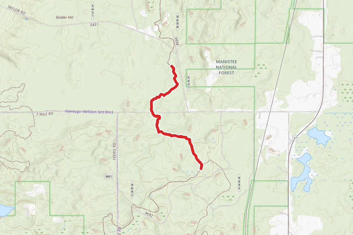North Country Trail_Iron Belle Trail