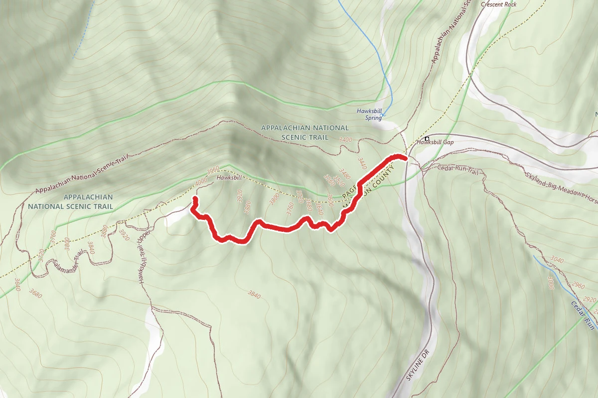 Hawksbill Trail-Lower