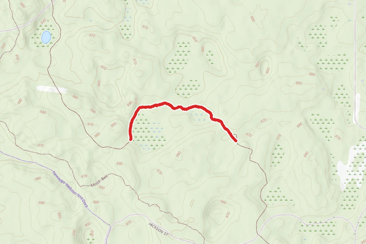 North Country Trail_Iron Belle Trail