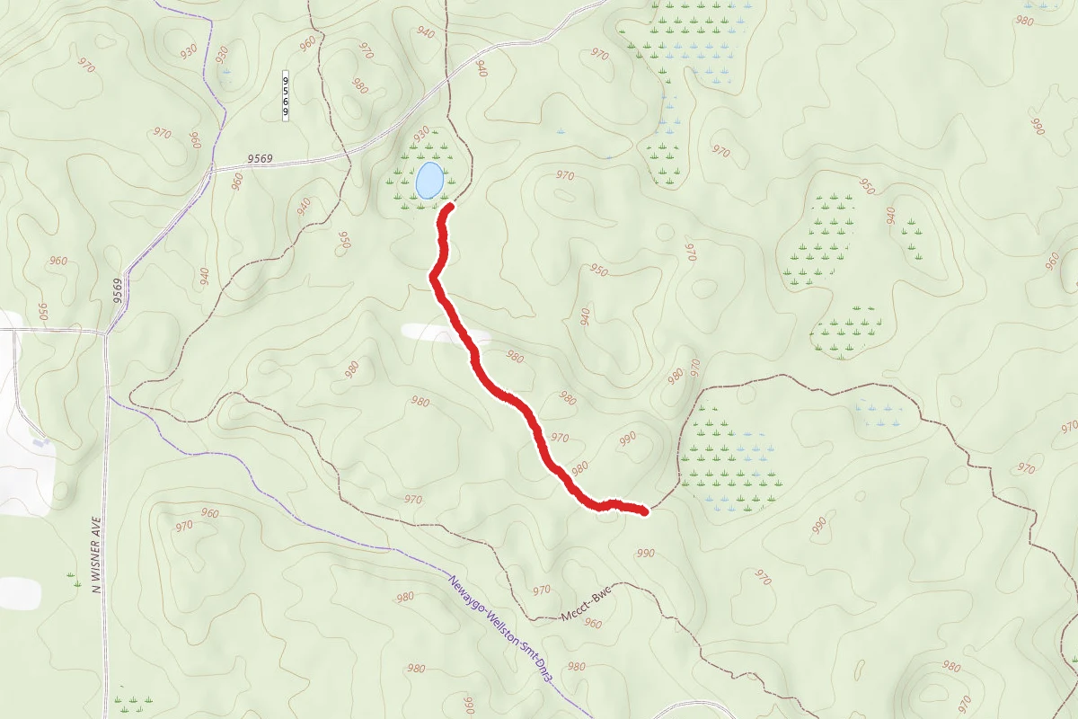 North Country Trail_Iron Belle Trail