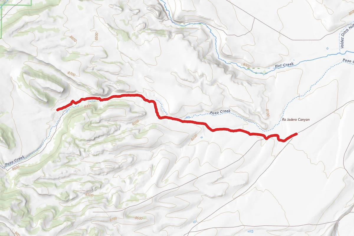 Whippoorwill Road