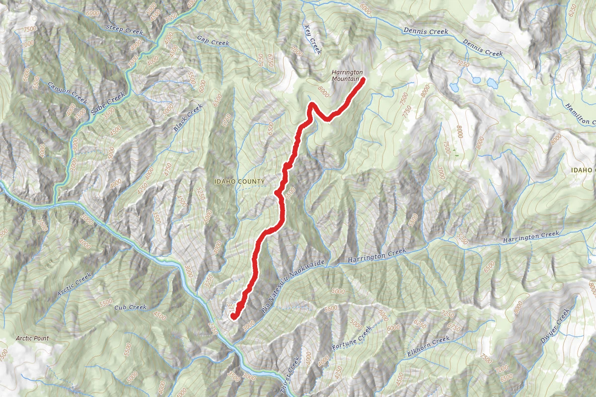 Prospect Ridge