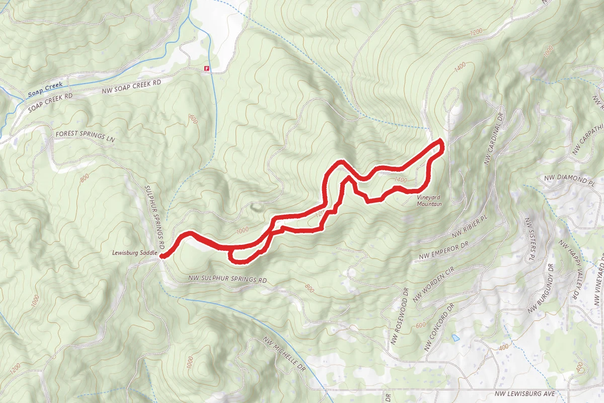 Vineyard Mountain Loop