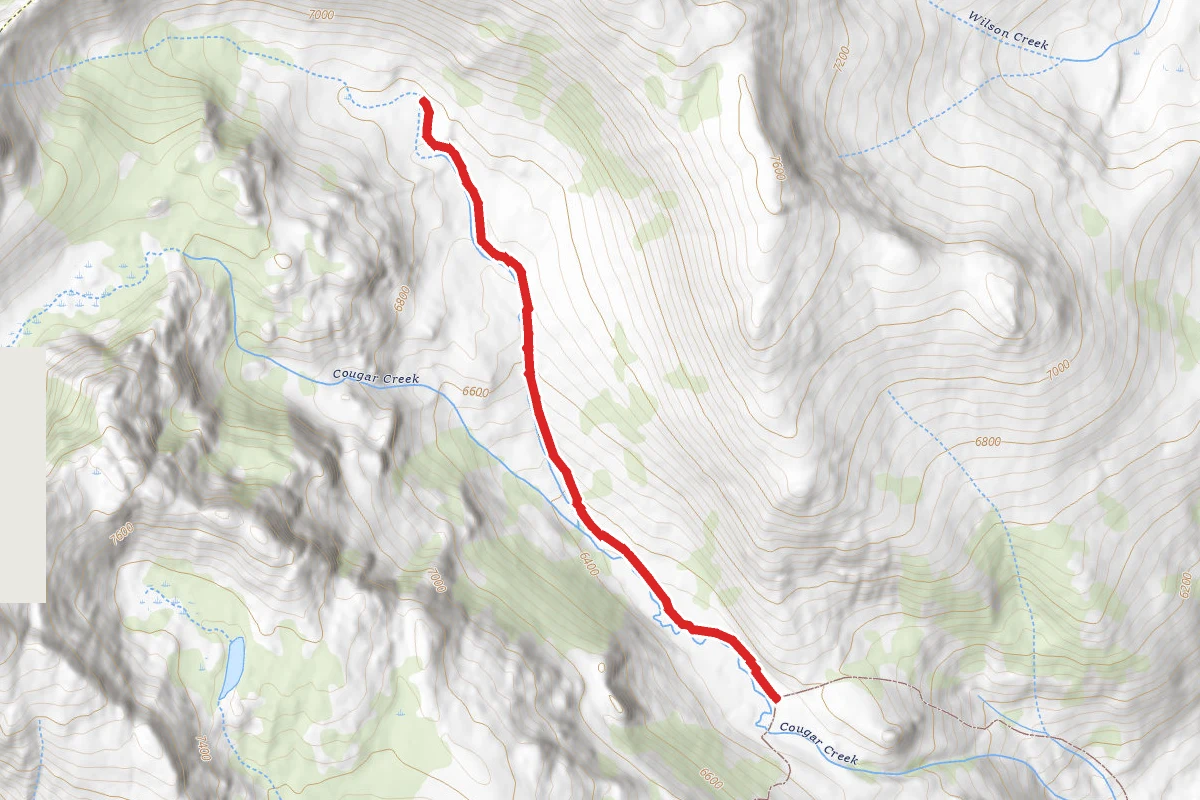 Cougar Creek/Deep Creek
