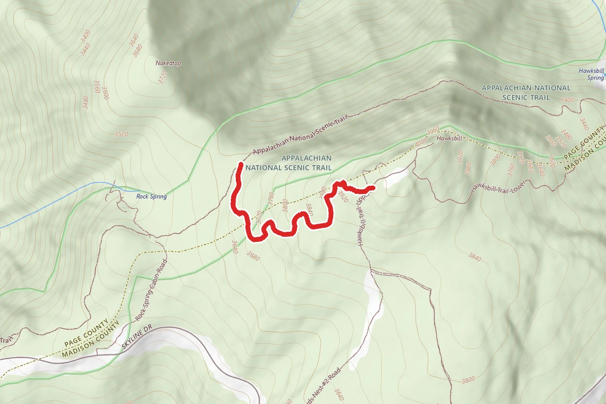 Salamander Trail