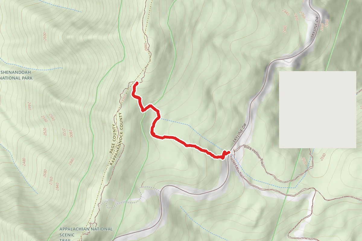 Meadow Spring Trail