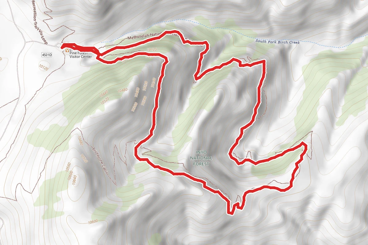 Methuselah Trail