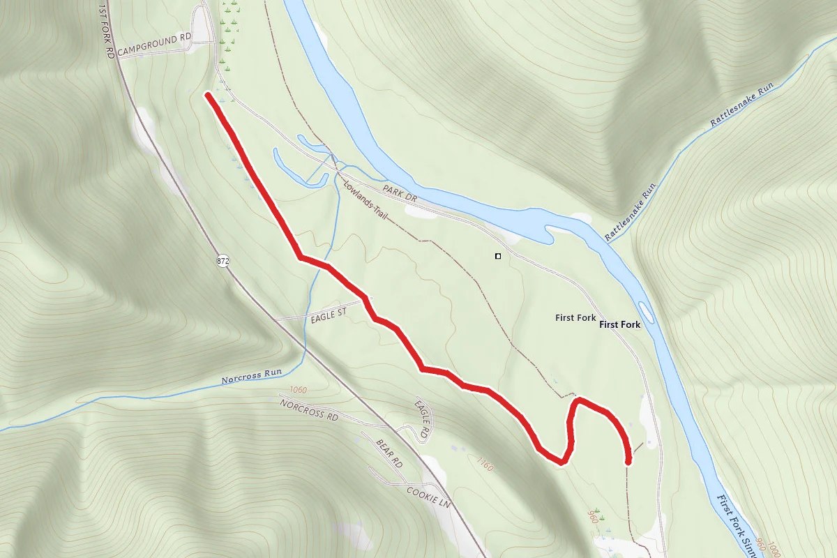 Red Spruce Trail