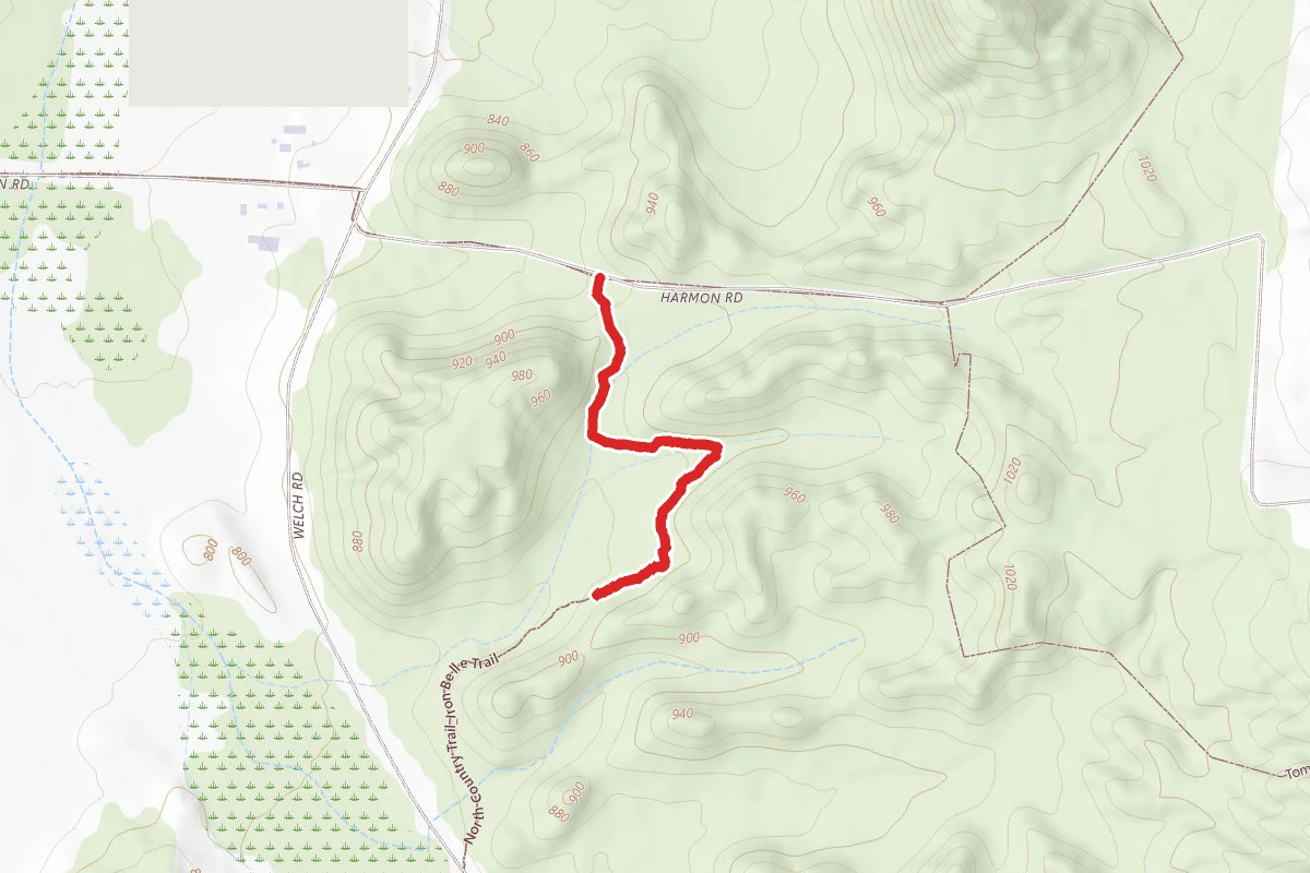 North Country Trail_Iron Belle Trail
