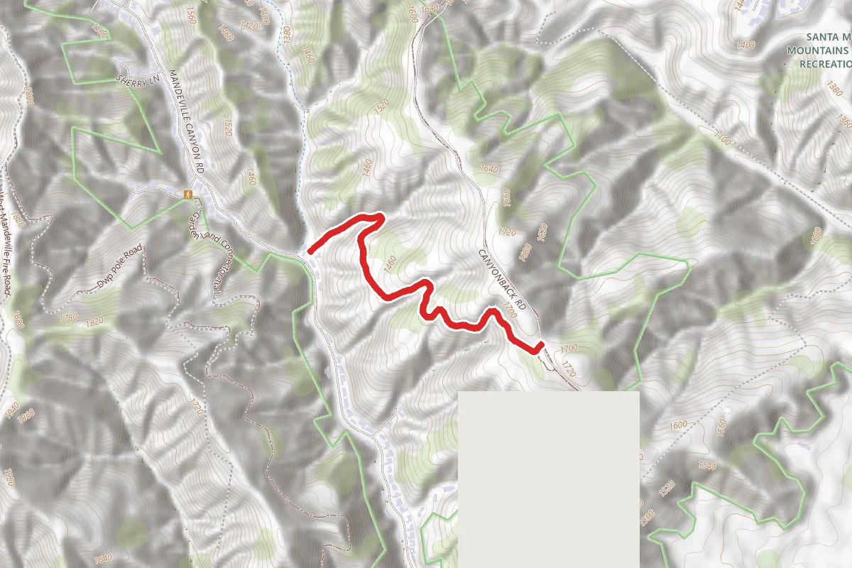 Hollyhock Fire Road