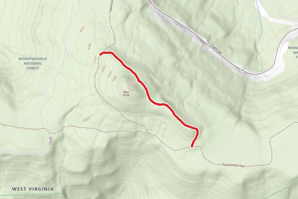 Blue Knob Trail