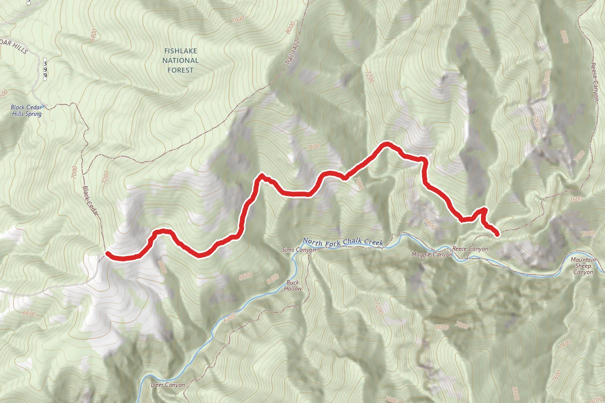 Black Cedar/North Fork Spur