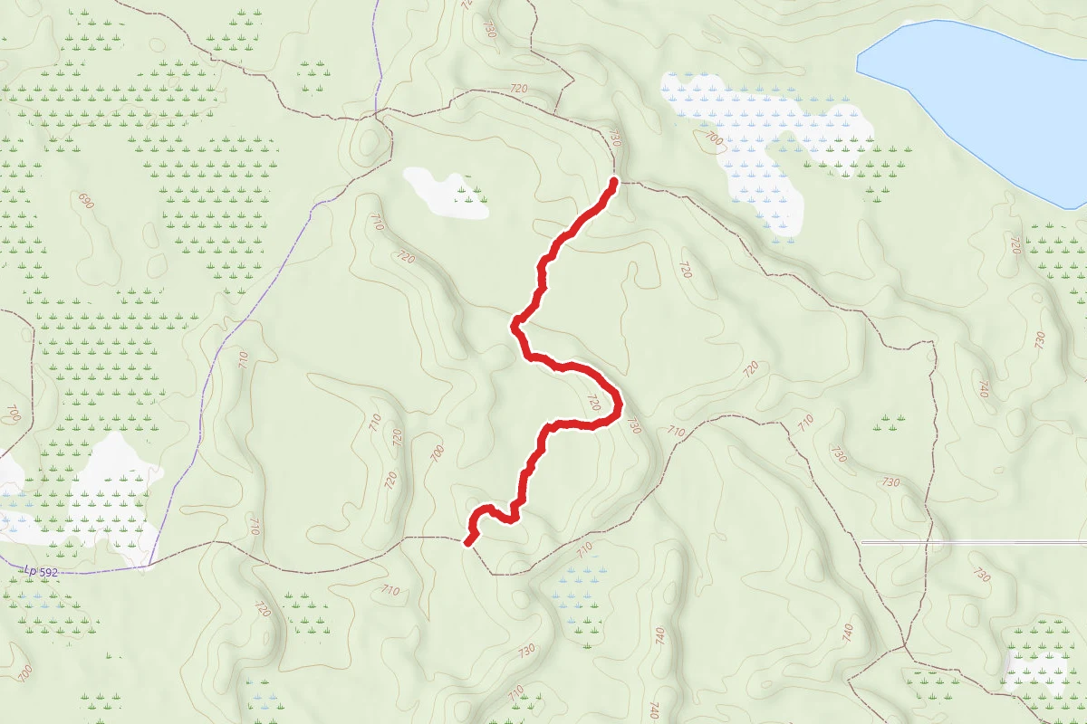 Allegan State Game Area - Equestrian Trail Silver Creek 4