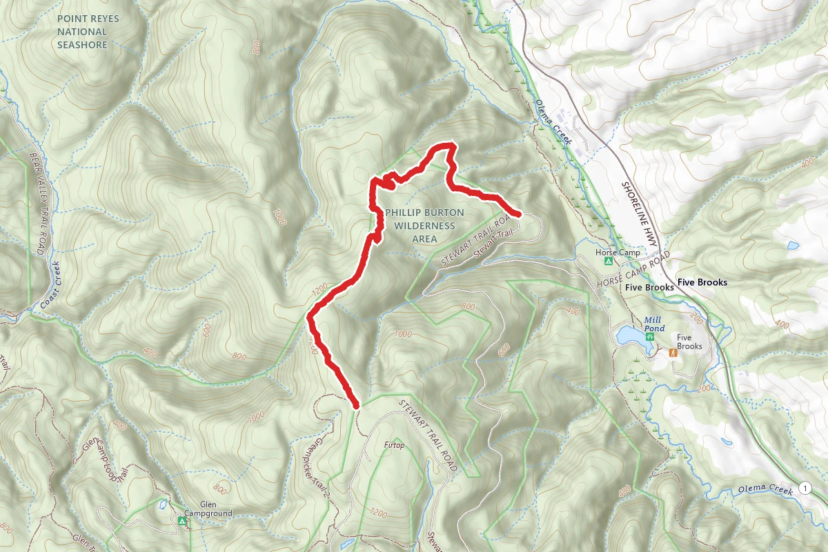 Greenpicker Trail 1