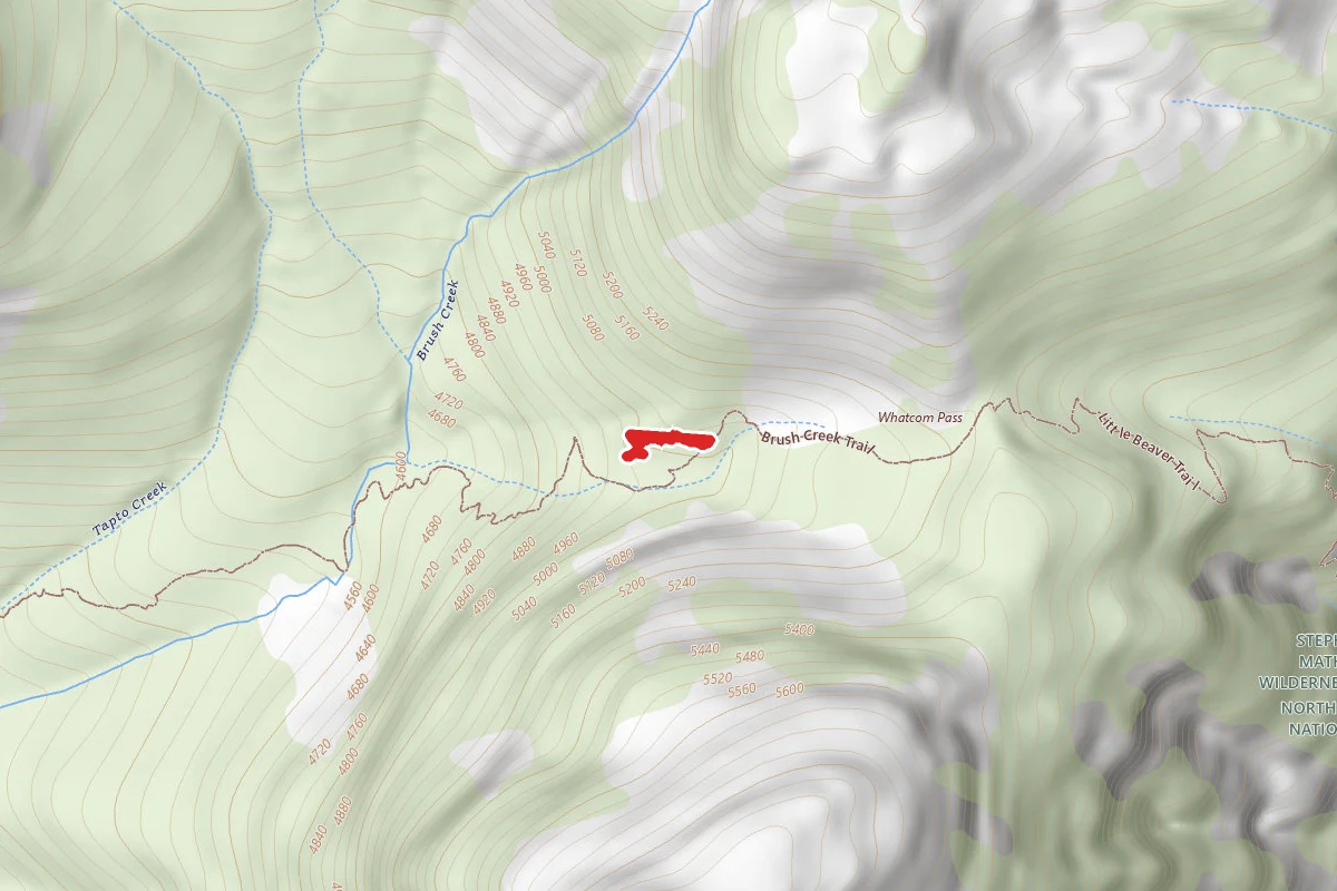 Whatcom Camp Access
