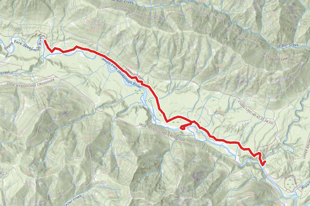Lower South Fork Skokomish Trail