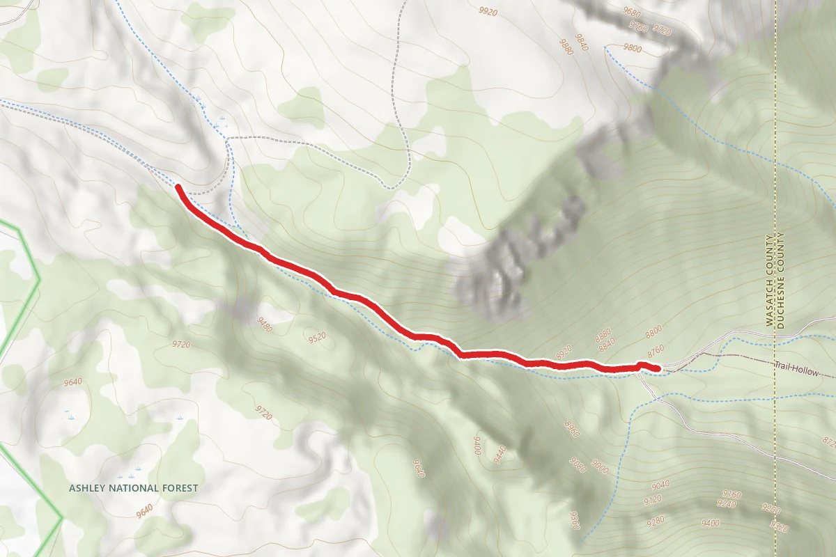 Trail Hollow