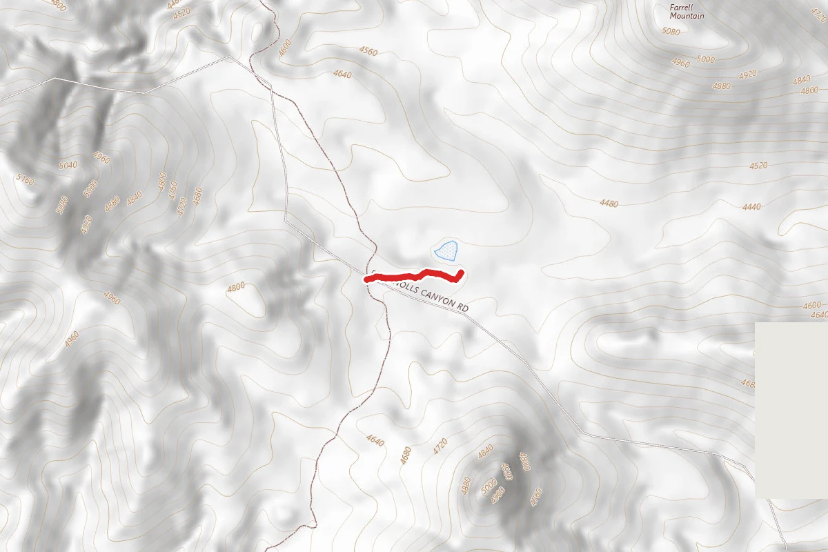 Salt Trap Road