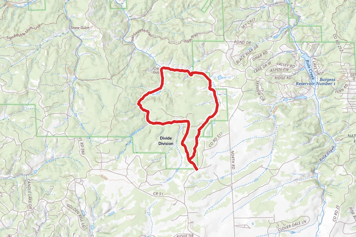 Womens Forest Trail 375