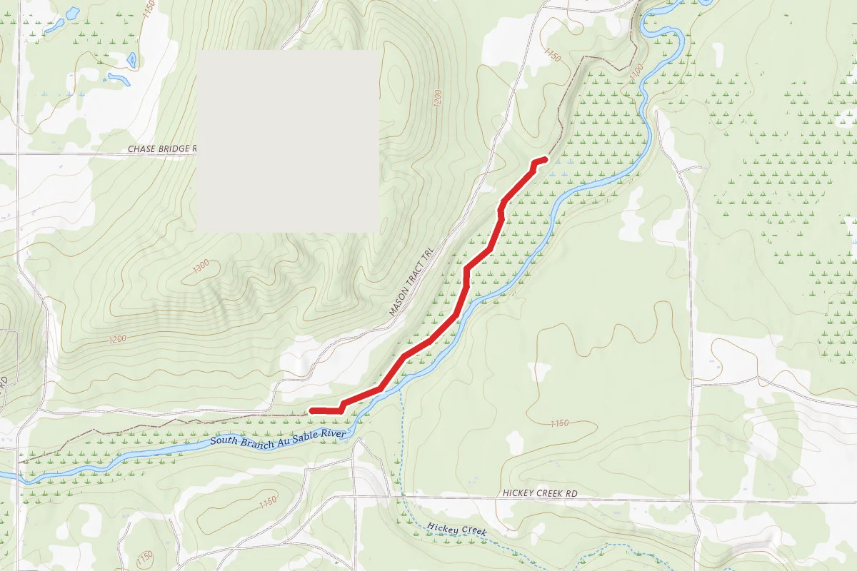 Mason Tract Pathway
