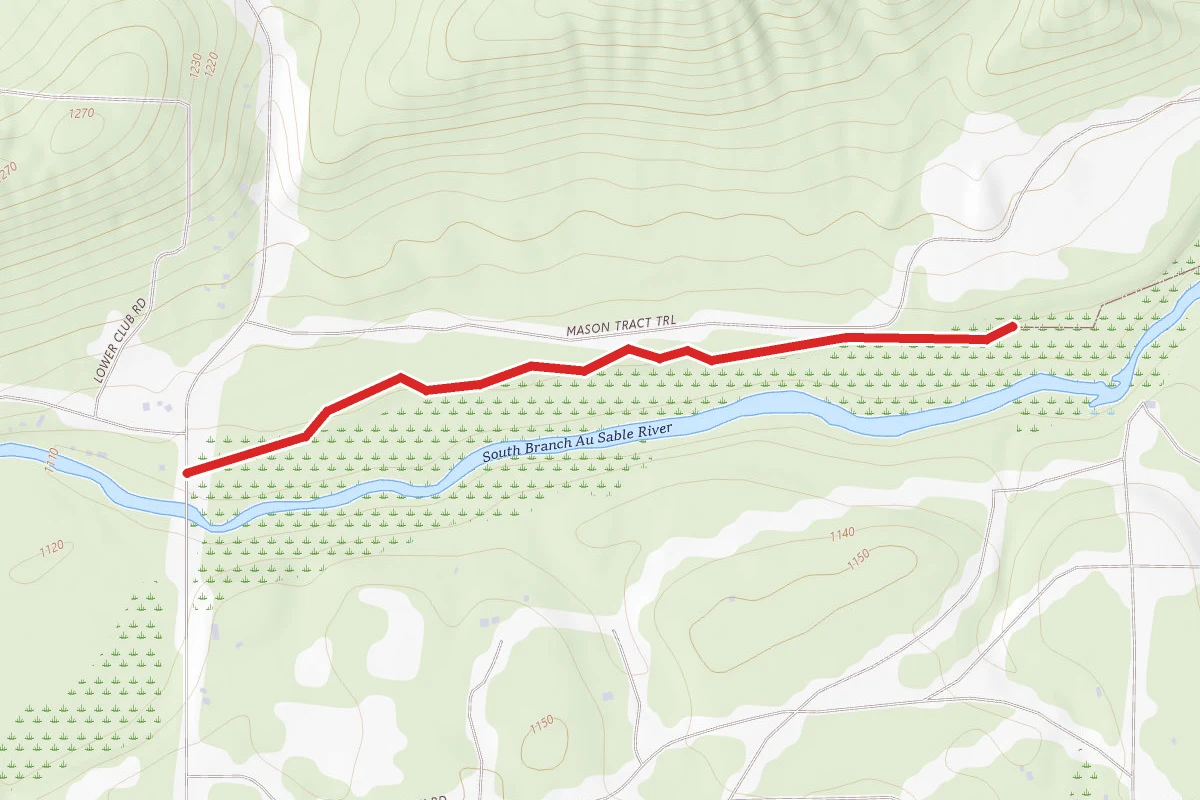 Mason Tract Pathway