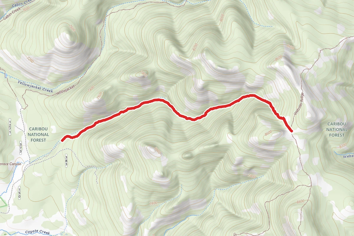 Terrace Canyon