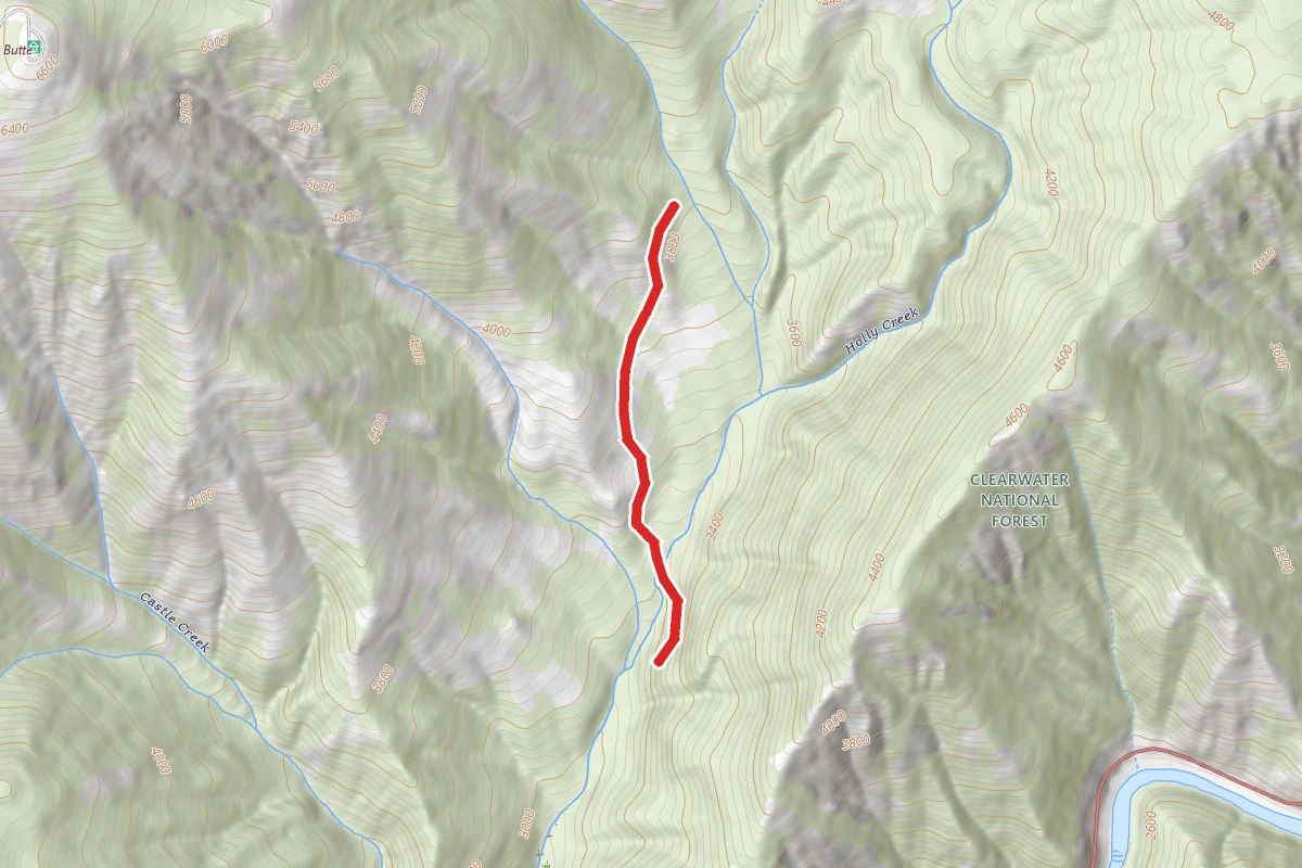 Holly Creek