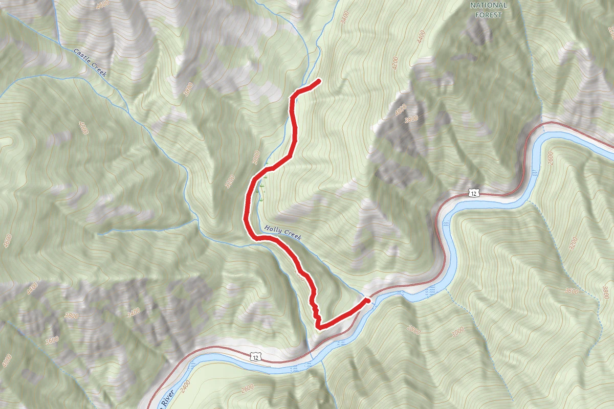 Holly Creek