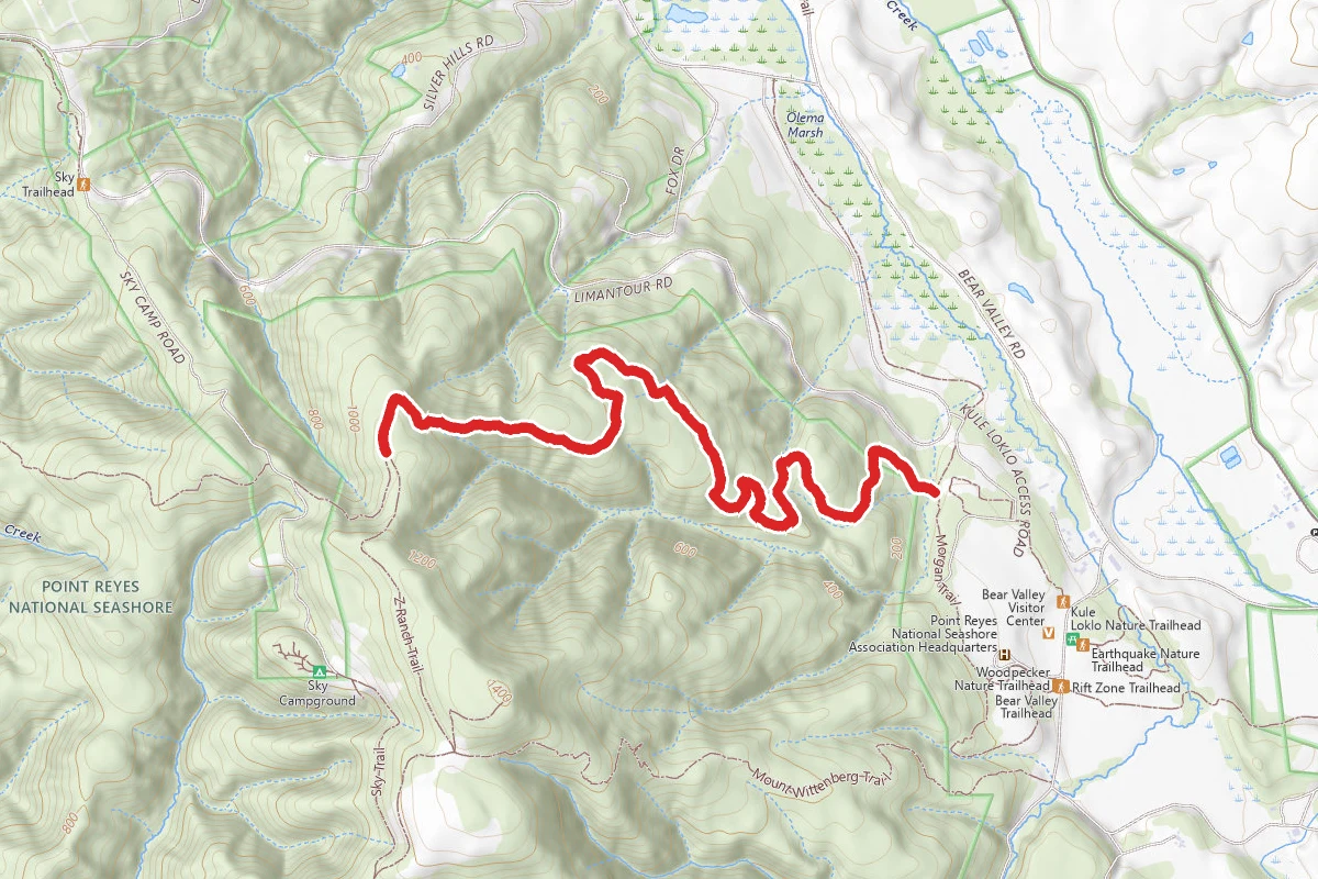 Horse Trail