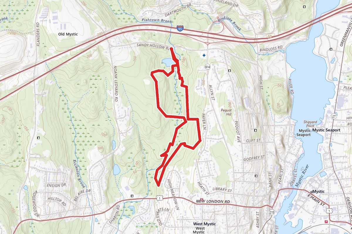 Pequot Woods
