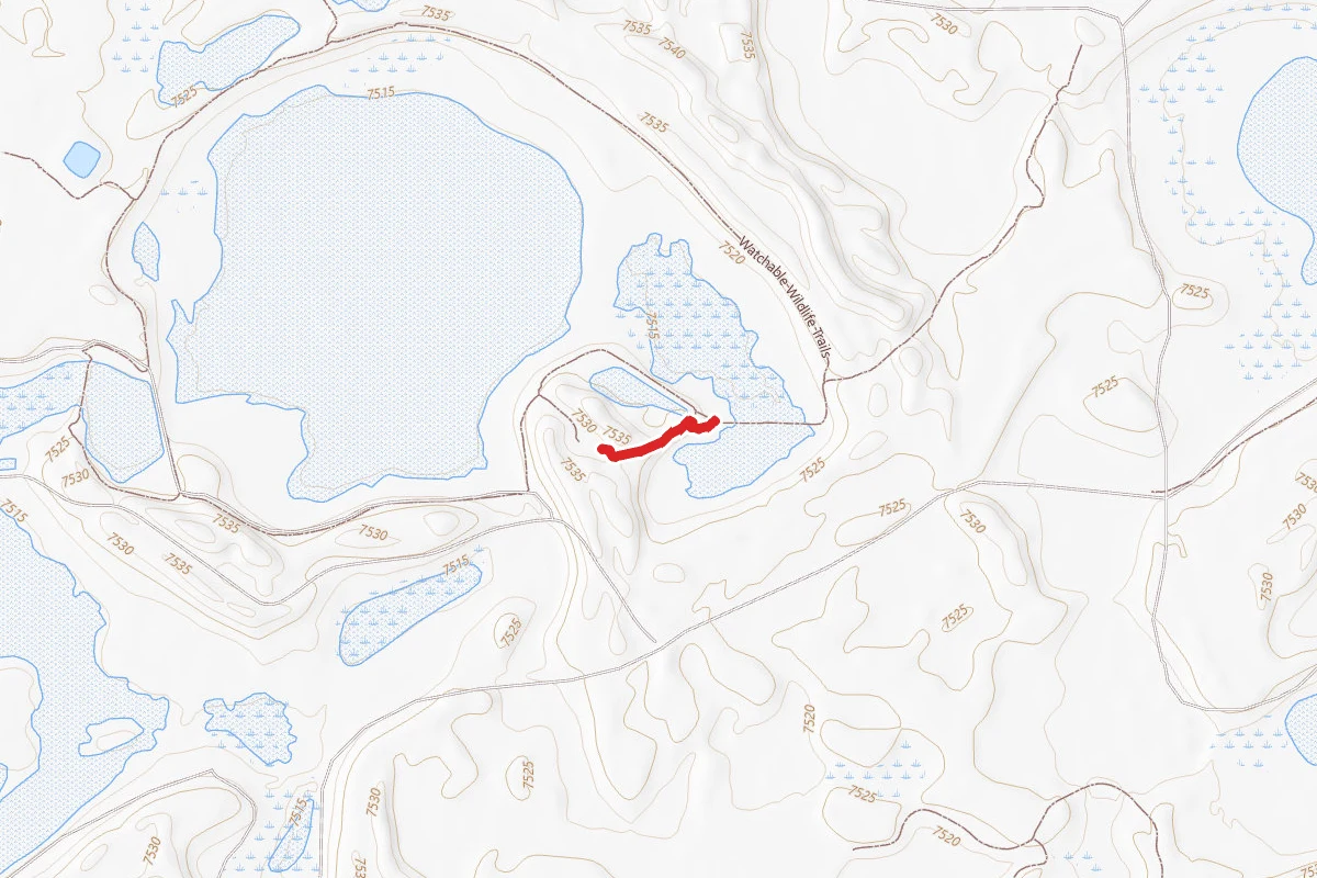 Blanca Wetlands Pedestrian Trail