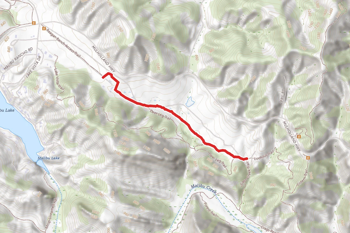 Yearling Trail