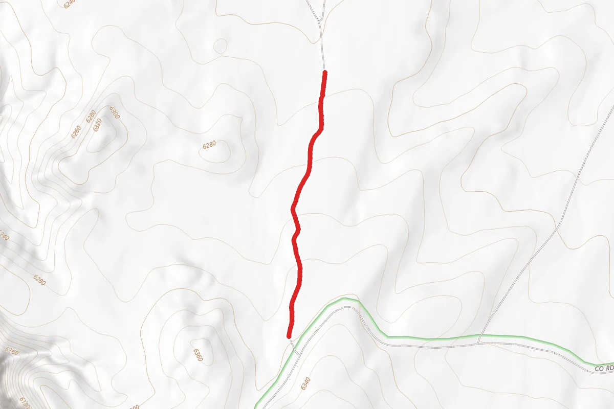 Carroll Loop
