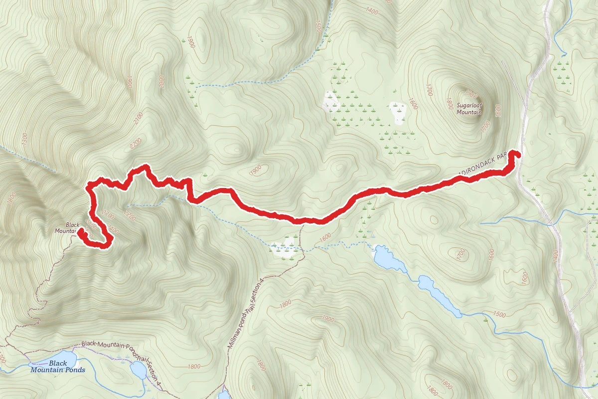 Black Mountain Summit Trail